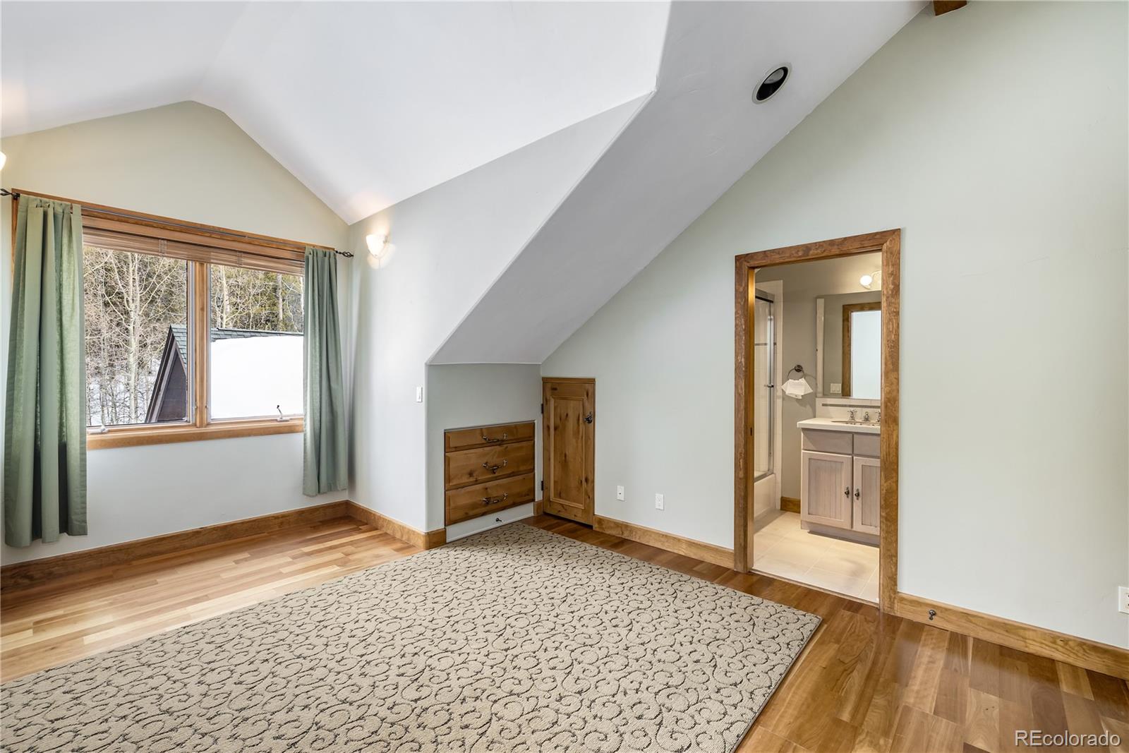 MLS Image #22 for 161  dyer trail,breckenridge, Colorado