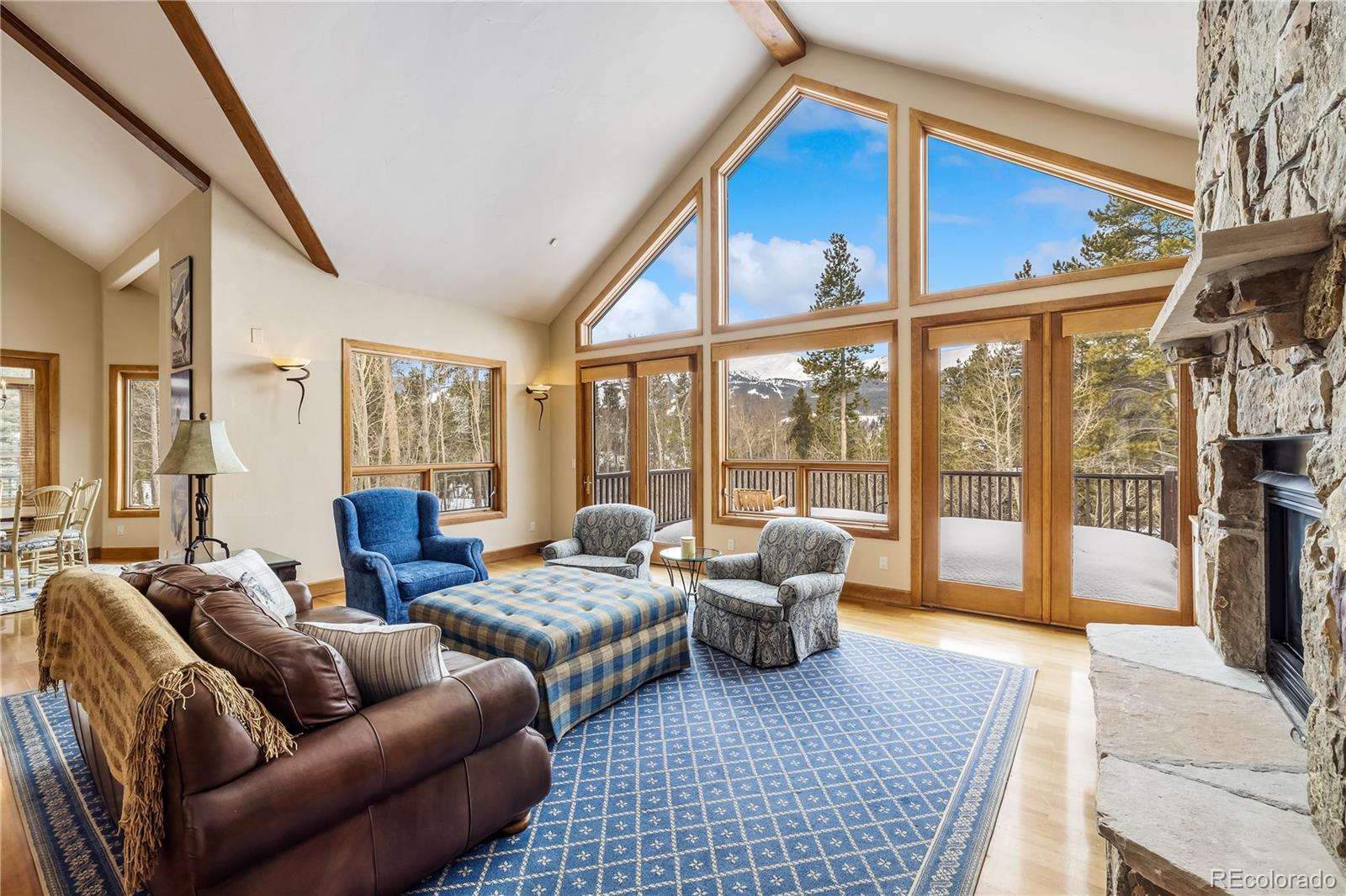 MLS Image #30 for 161  dyer trail,breckenridge, Colorado