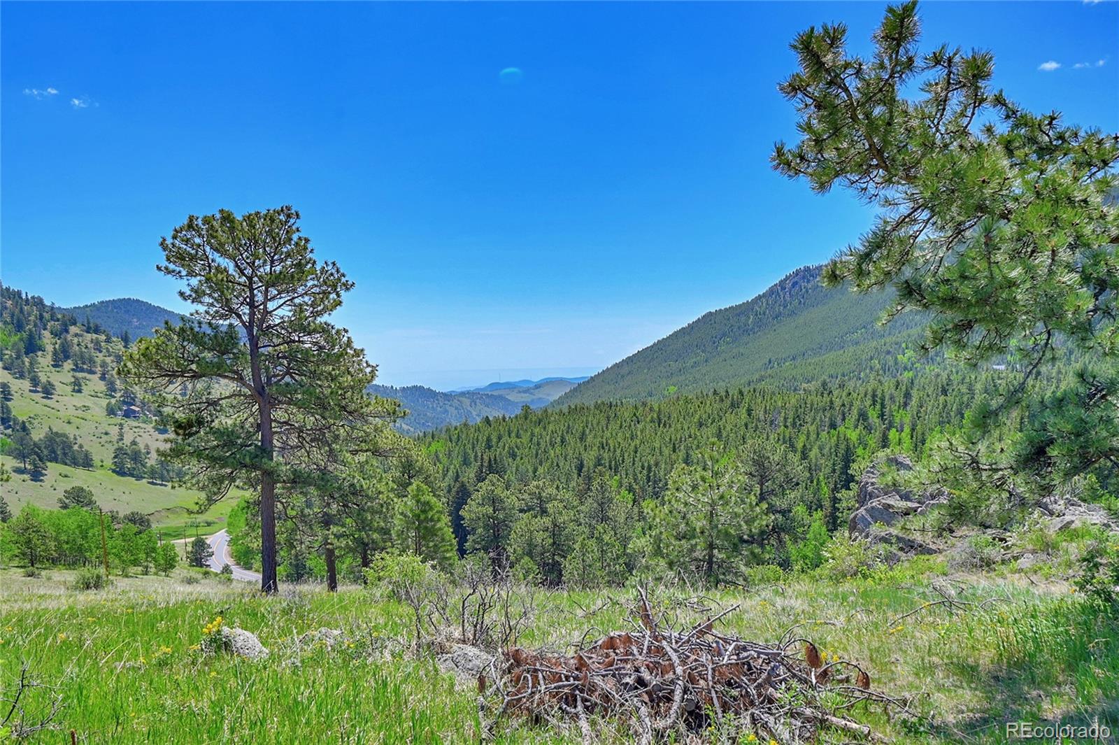 MLS Image #36 for 34031  golden gate canyon road,golden, Colorado