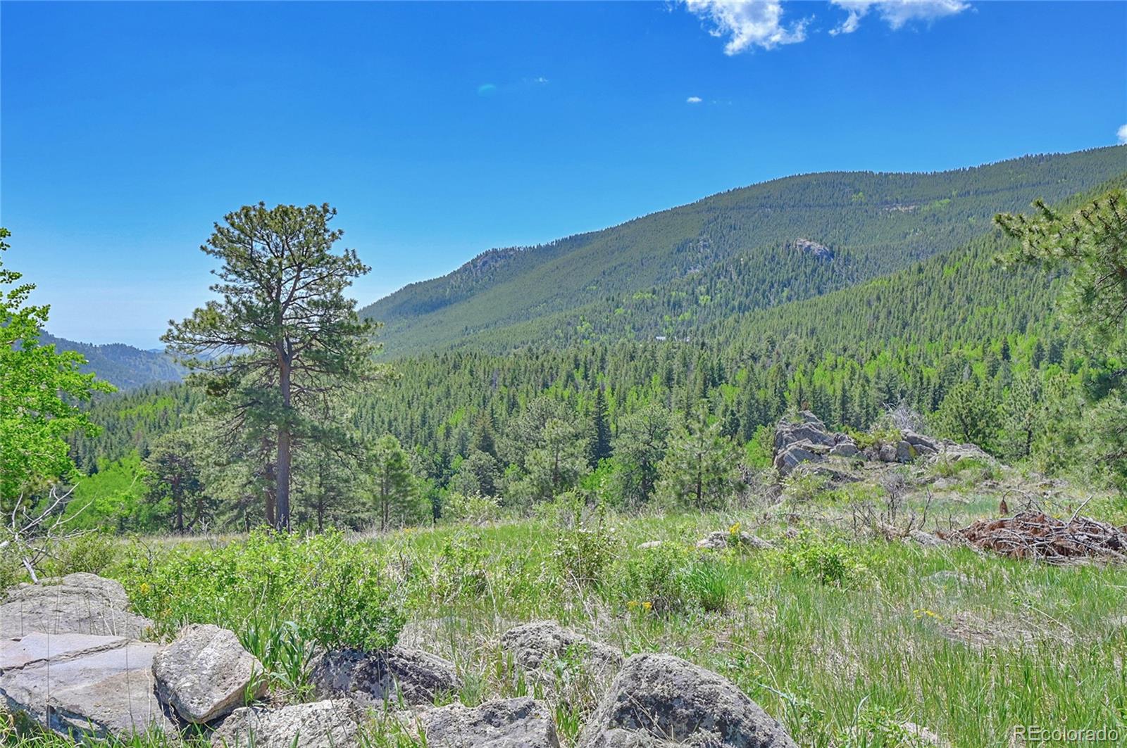 MLS Image #40 for 34031  golden gate canyon road,golden, Colorado