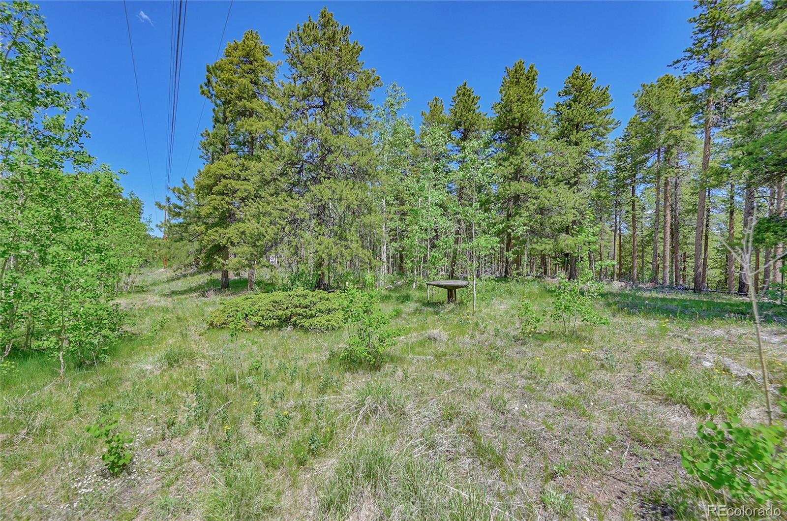 MLS Image #42 for 34031  golden gate canyon road,golden, Colorado