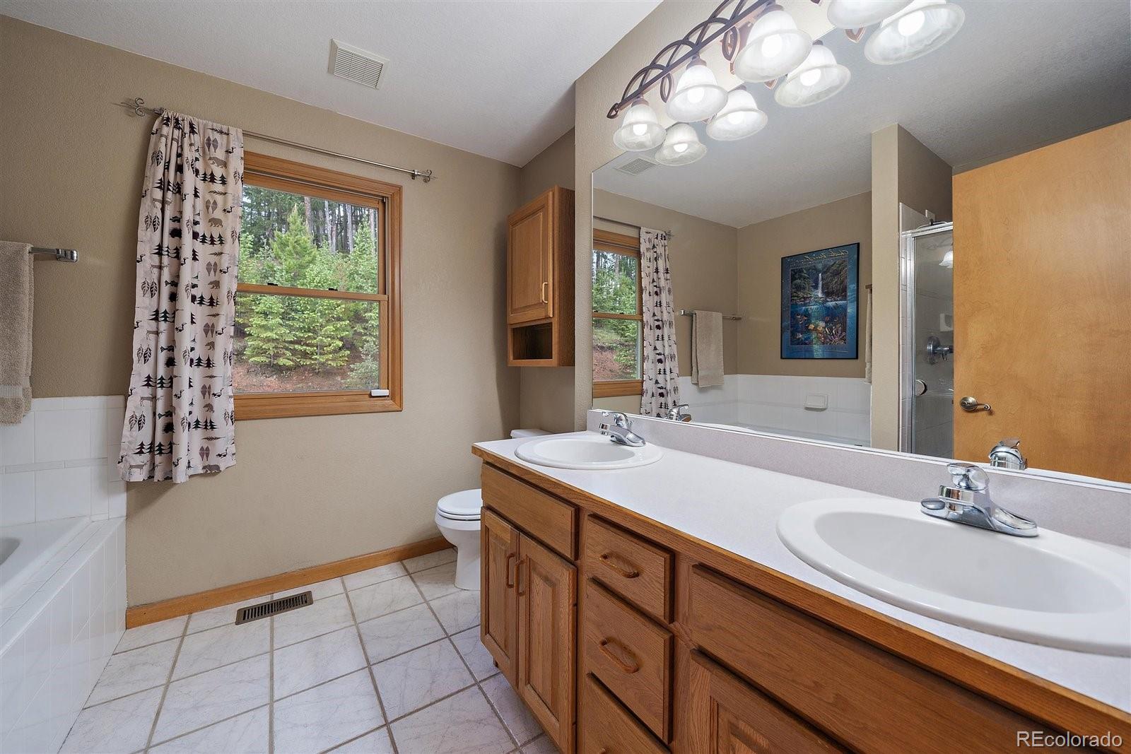 MLS Image #19 for 7221  brook forest drive,evergreen, Colorado