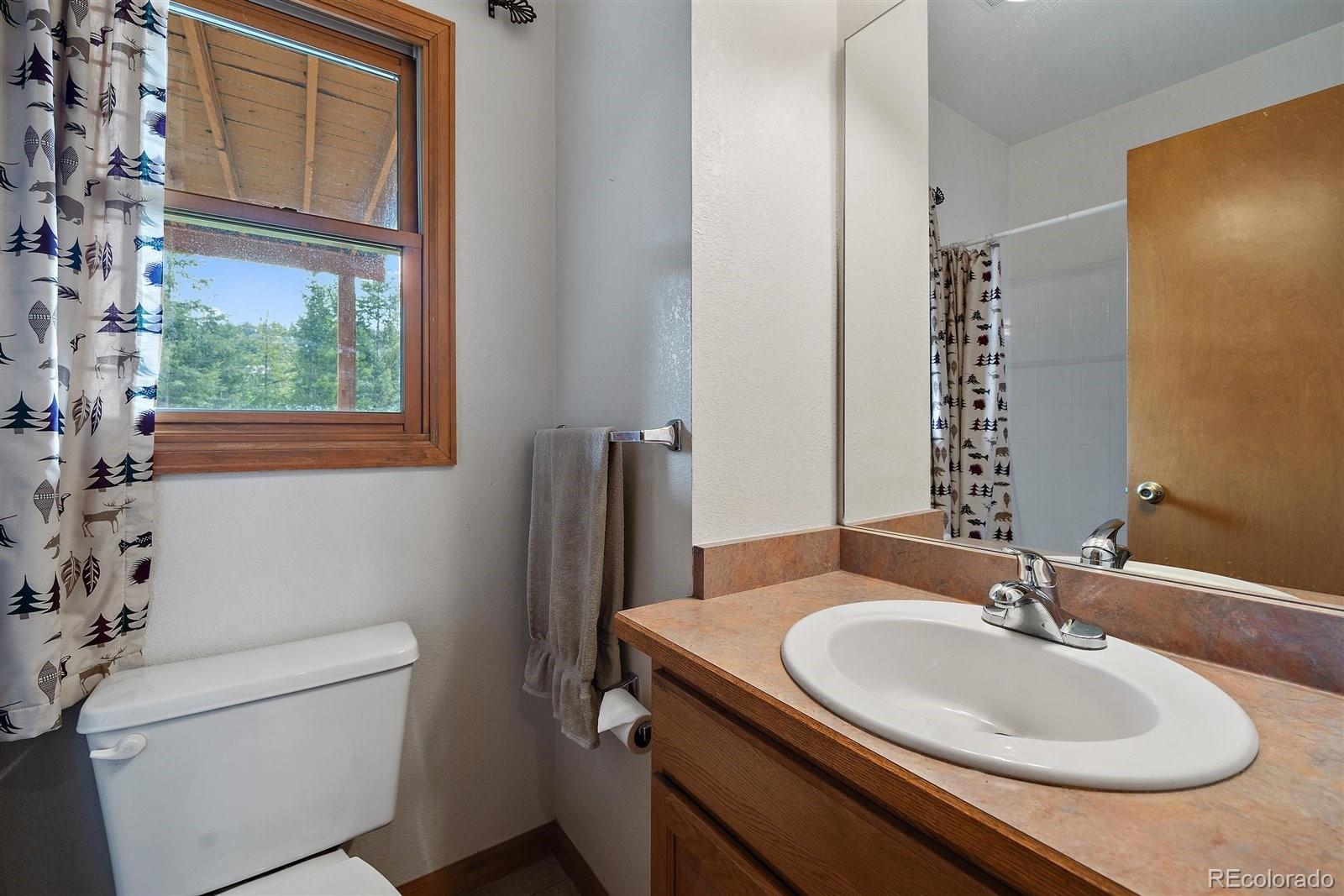 MLS Image #30 for 7221  brook forest drive,evergreen, Colorado