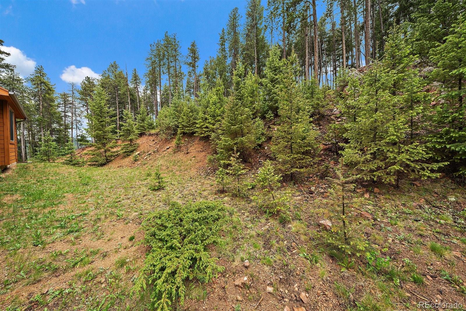 MLS Image #41 for 7221  brook forest drive,evergreen, Colorado