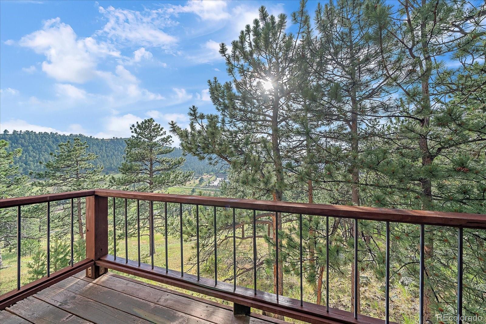 MLS Image #26 for 28047  meadowlark drive,golden, Colorado