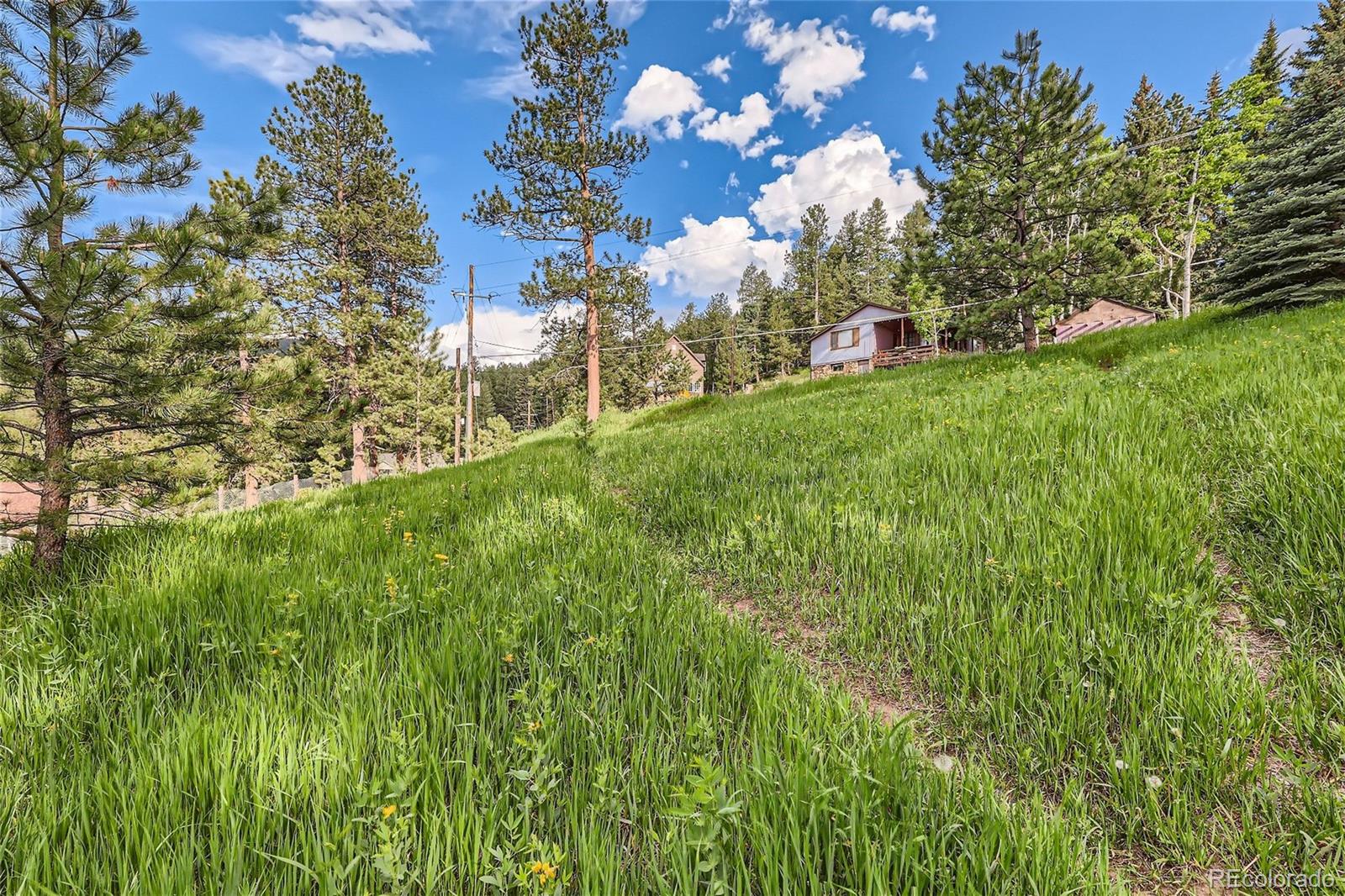 MLS Image #27 for 4916  silver spruce lane,evergreen, Colorado