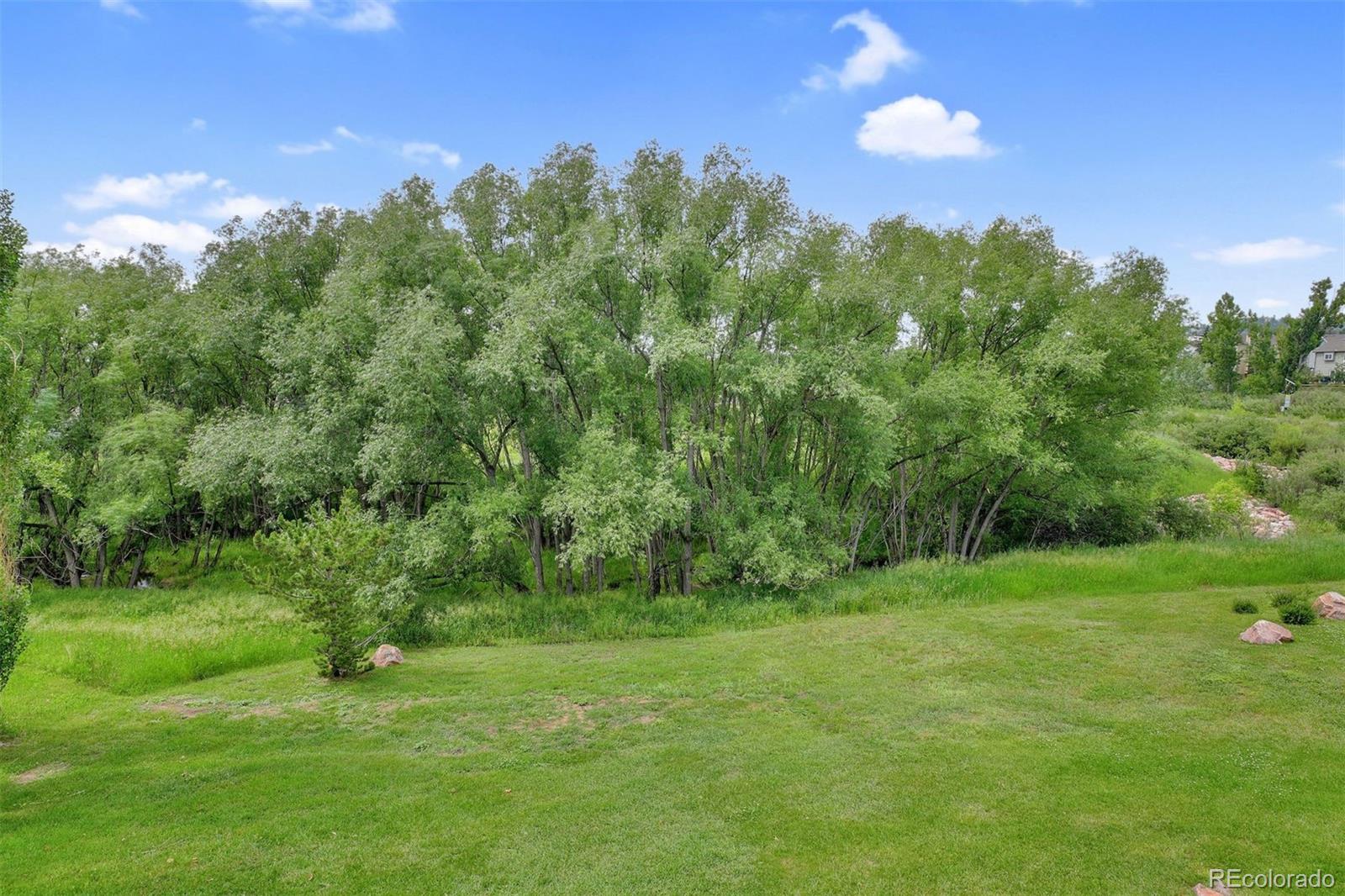 MLS Image #44 for 15330  steinbeck lane,colorado springs, Colorado