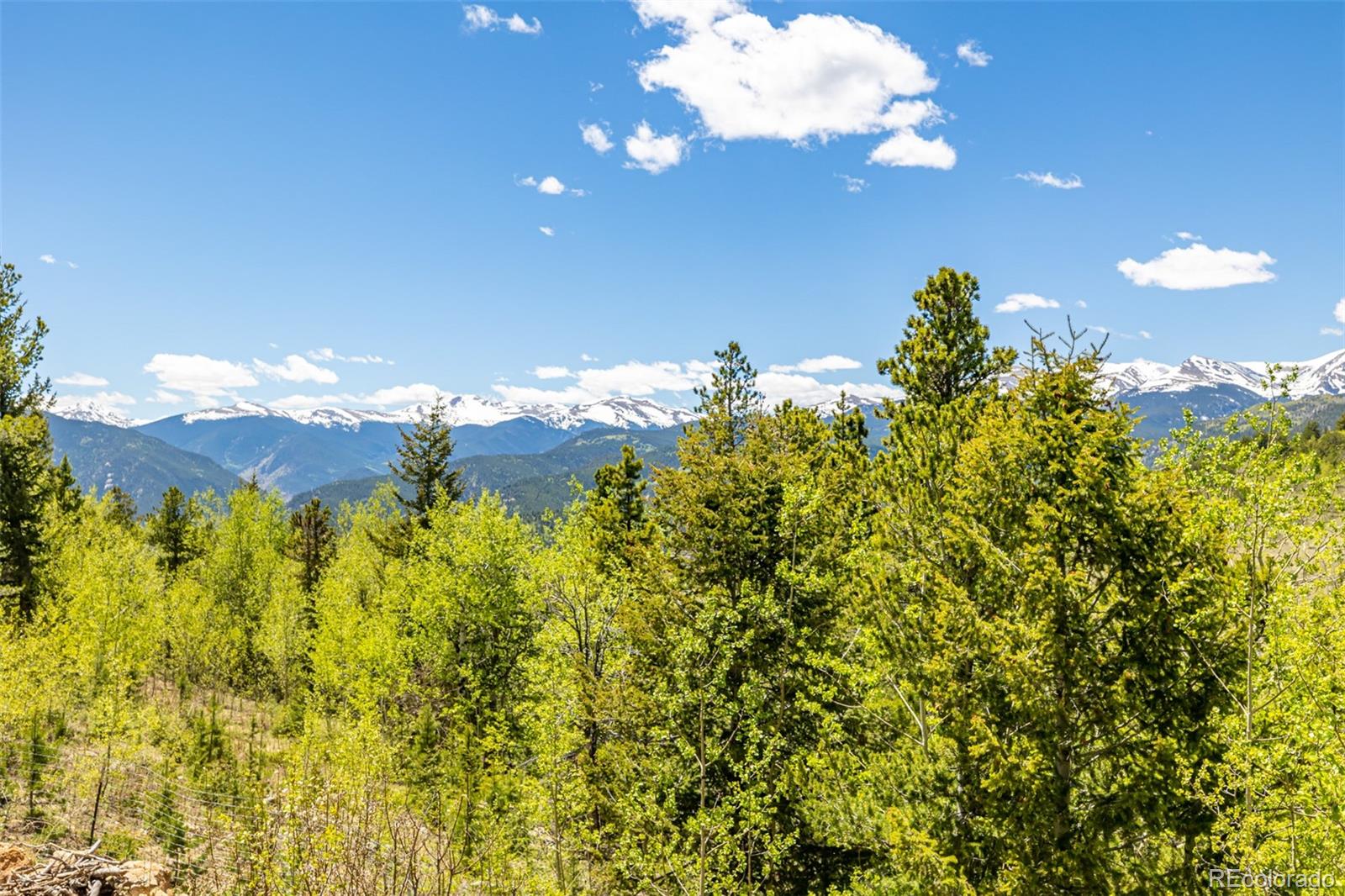 MLS Image #42 for 30  forget me not lane,idaho springs, Colorado