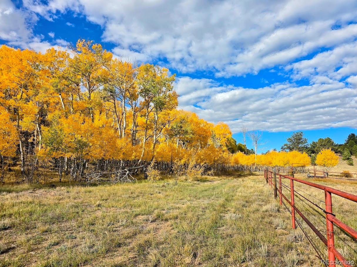 MLS Image #2 for 203  strongbox court,jefferson, Colorado