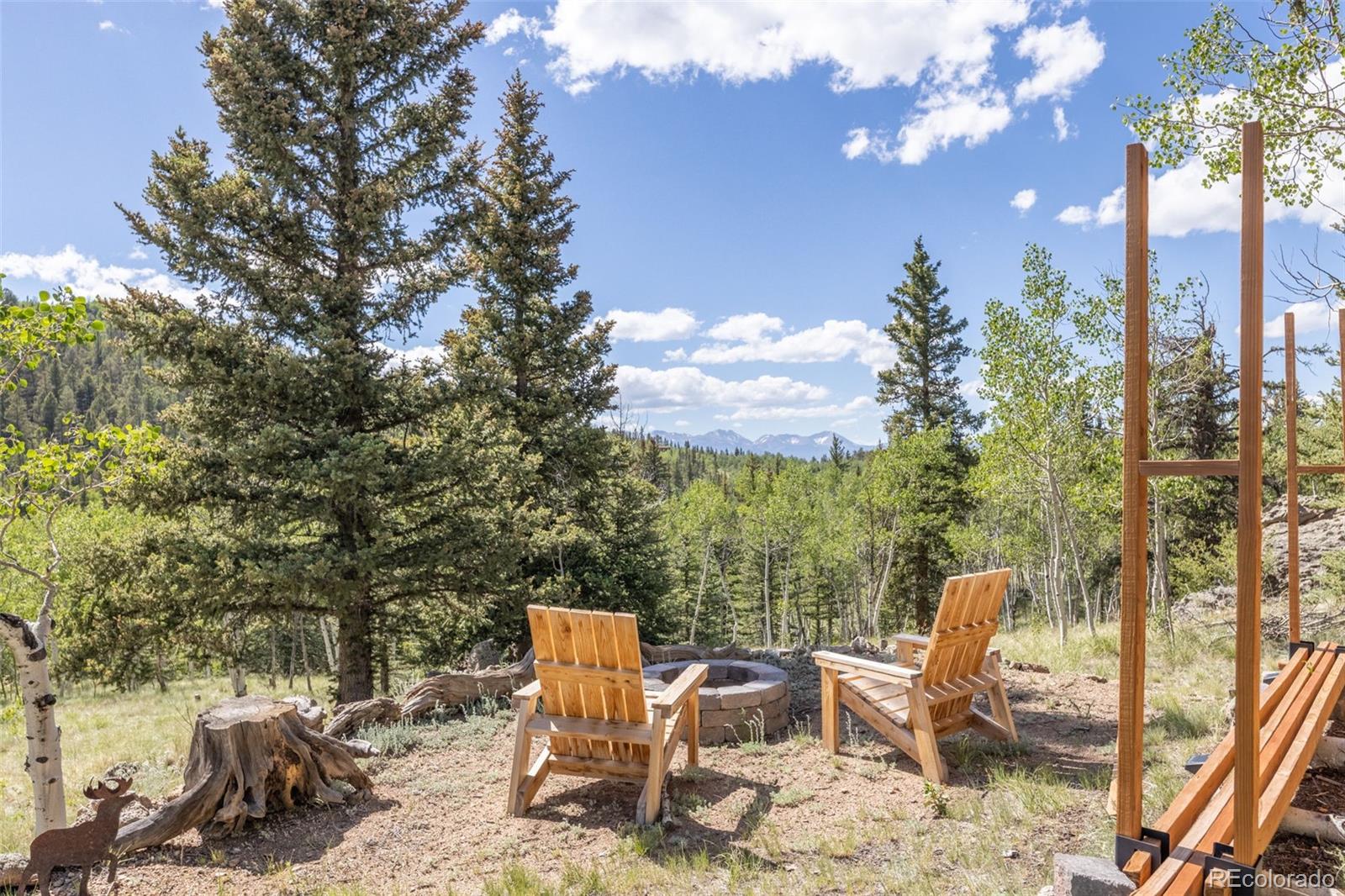 MLS Image #29 for 203  strongbox court,jefferson, Colorado