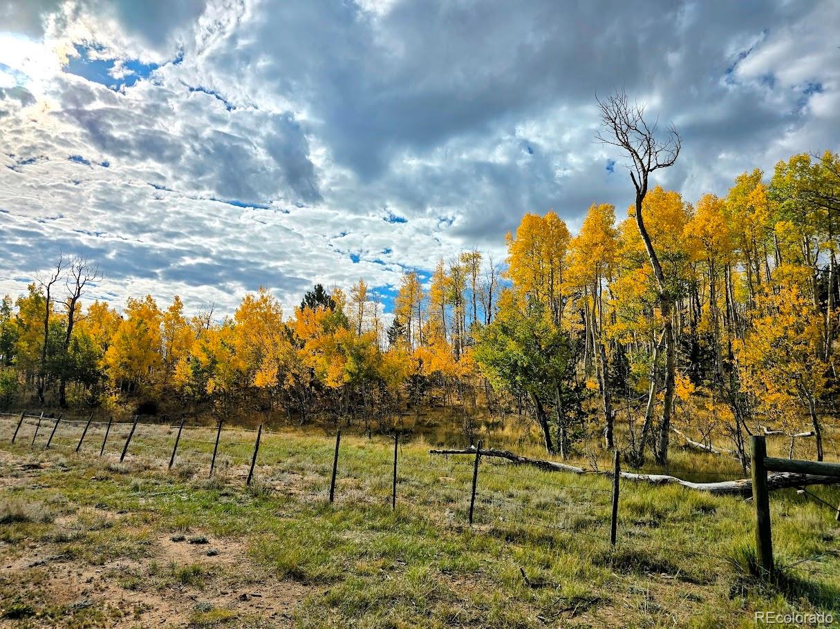 MLS Image #3 for 203  strongbox court,jefferson, Colorado