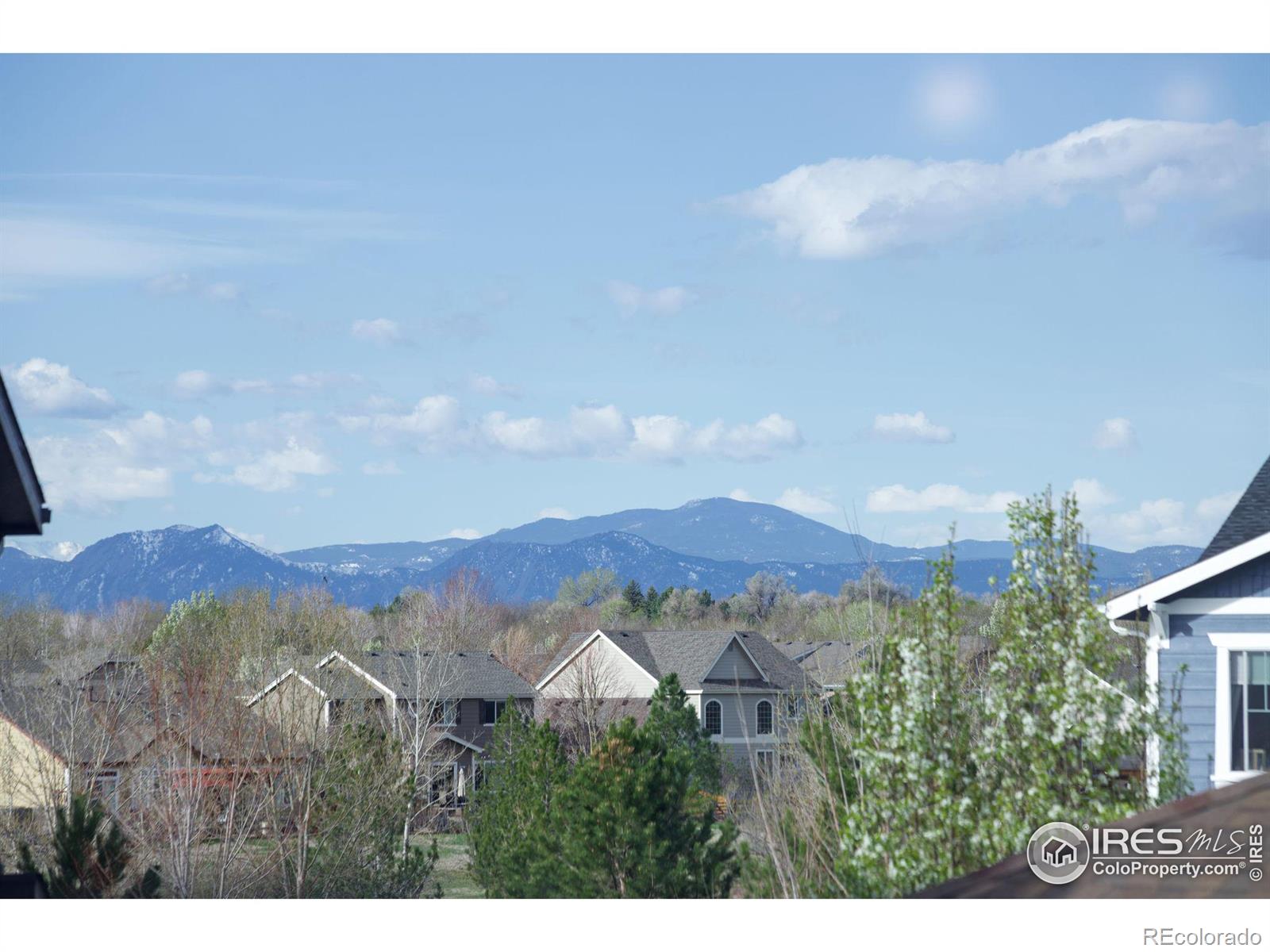 MLS Image #12 for 1329  bluemoon drive,longmont, Colorado