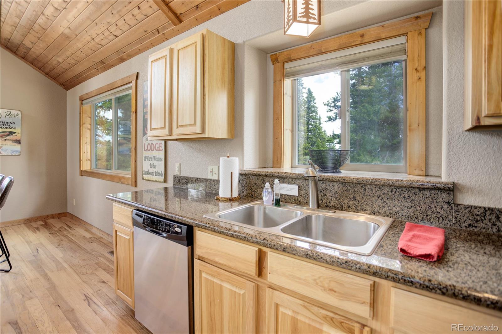 MLS Image #16 for 311  miners way,fairplay, Colorado