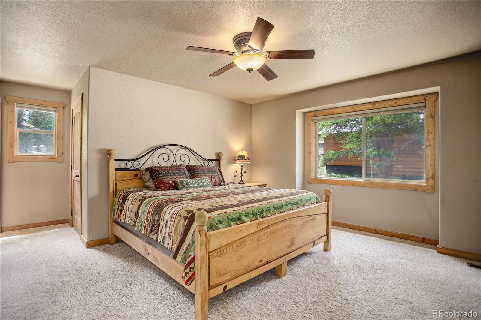 MLS Image #18 for 311  miners way,fairplay, Colorado