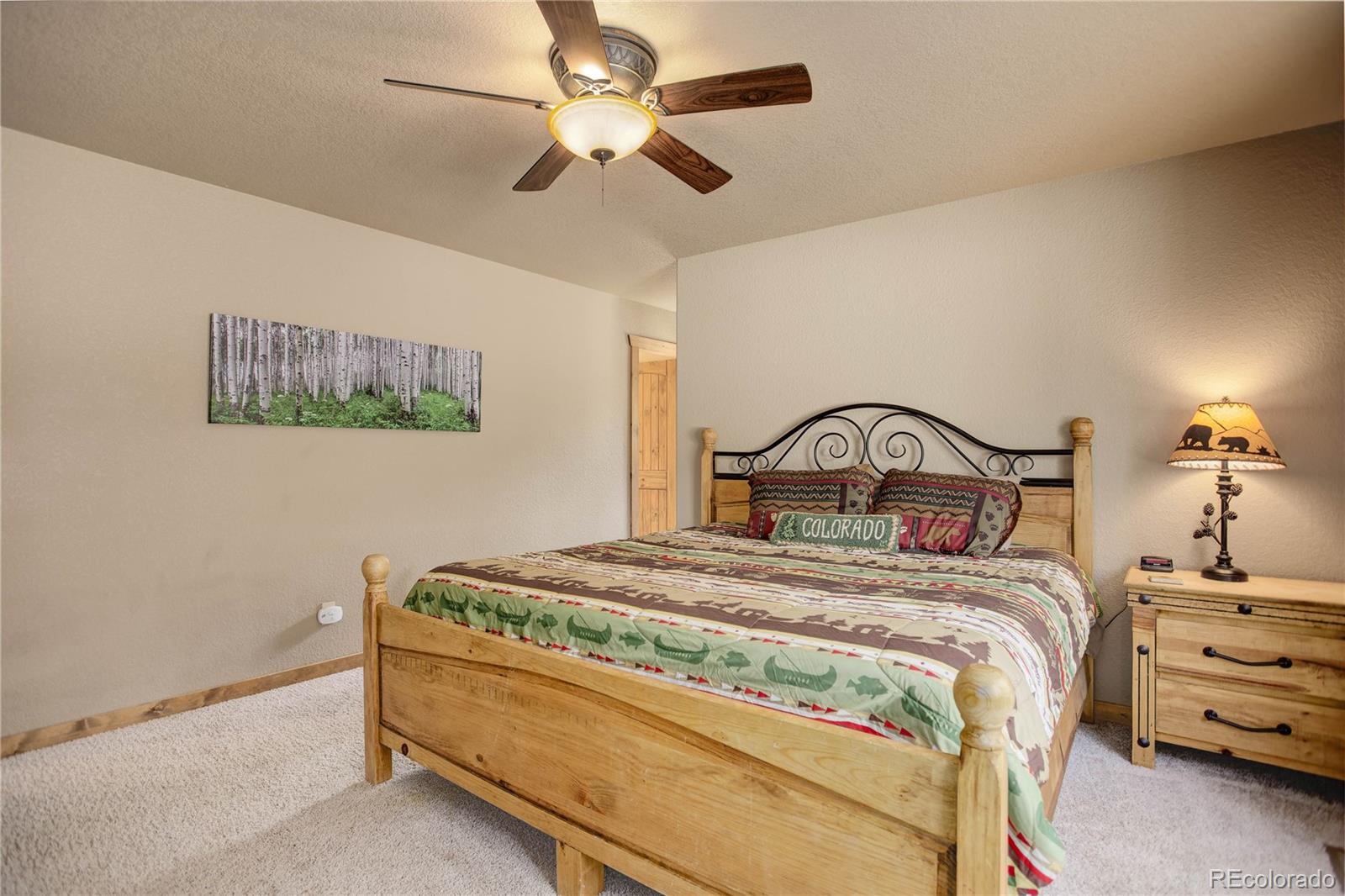 MLS Image #19 for 311  miners way,fairplay, Colorado