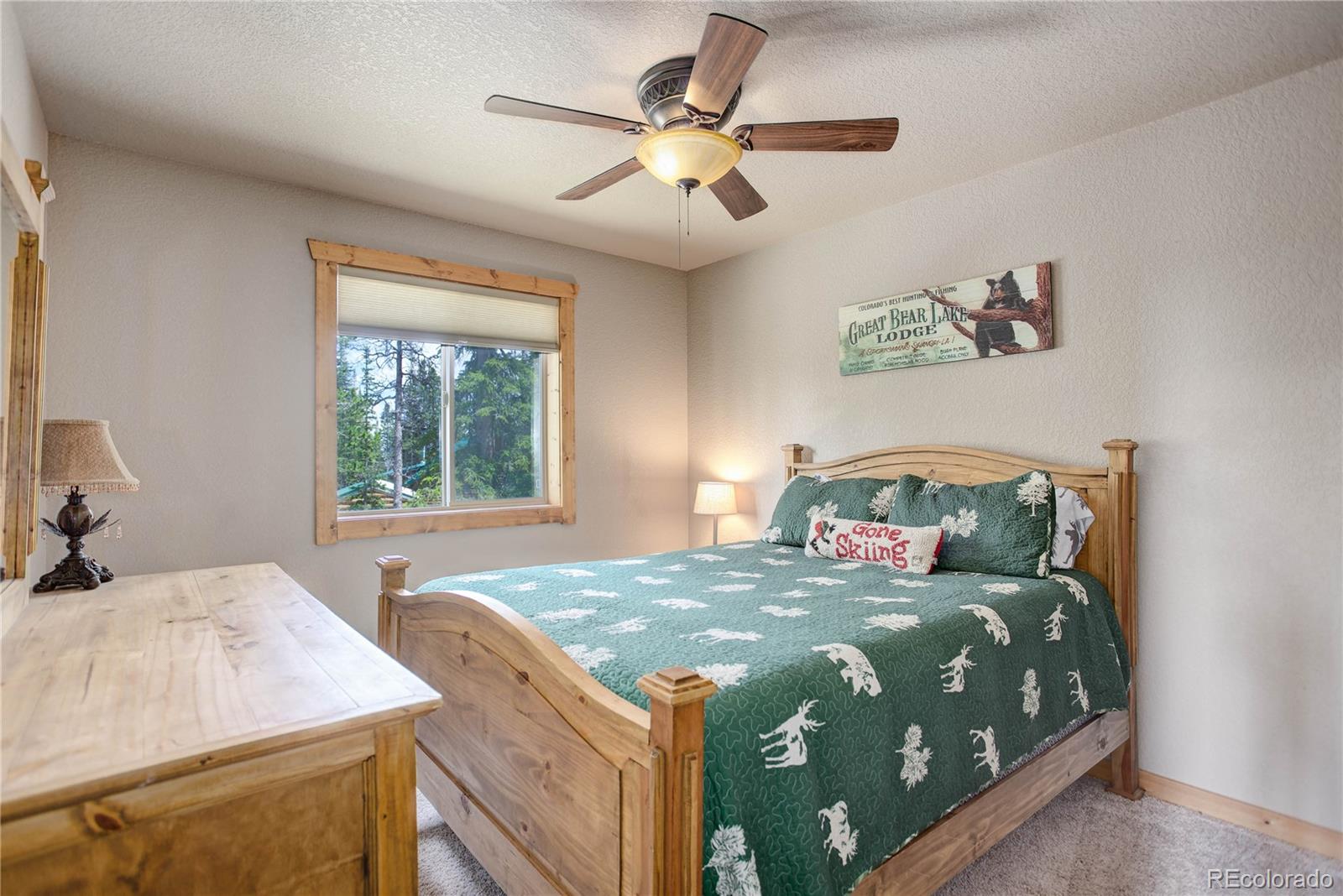 MLS Image #21 for 311  miners way,fairplay, Colorado