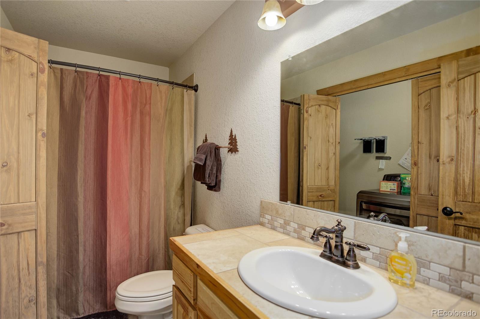 MLS Image #24 for 311  miners way,fairplay, Colorado