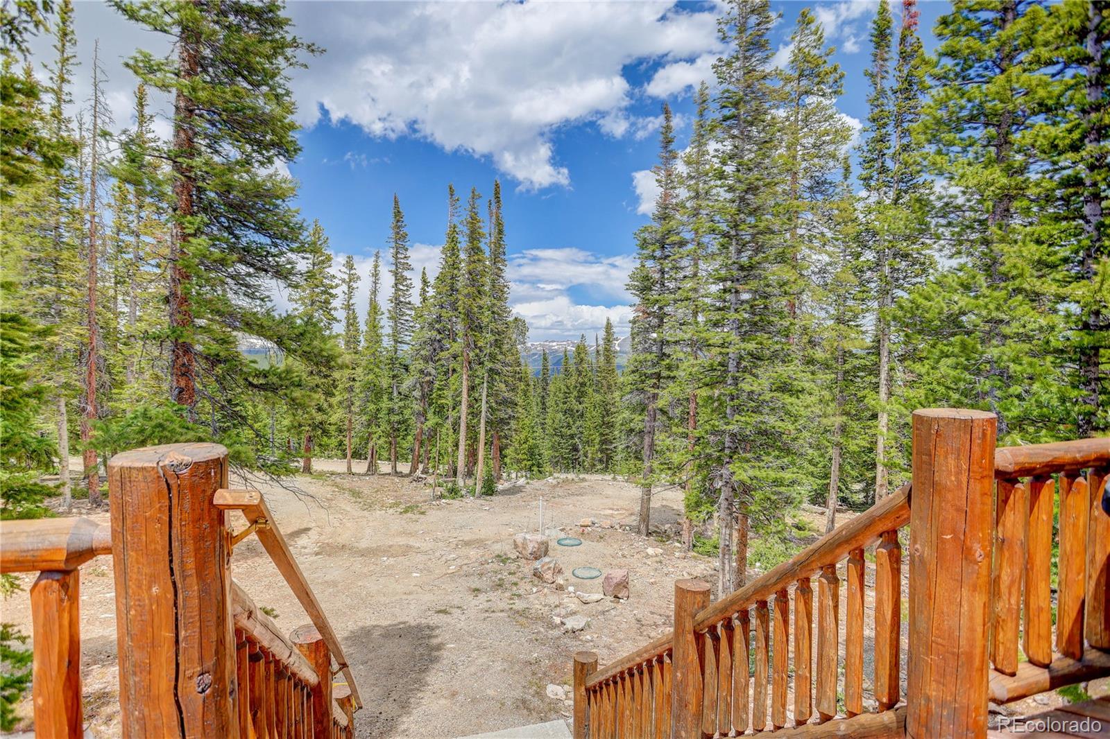 MLS Image #26 for 311  miners way,fairplay, Colorado