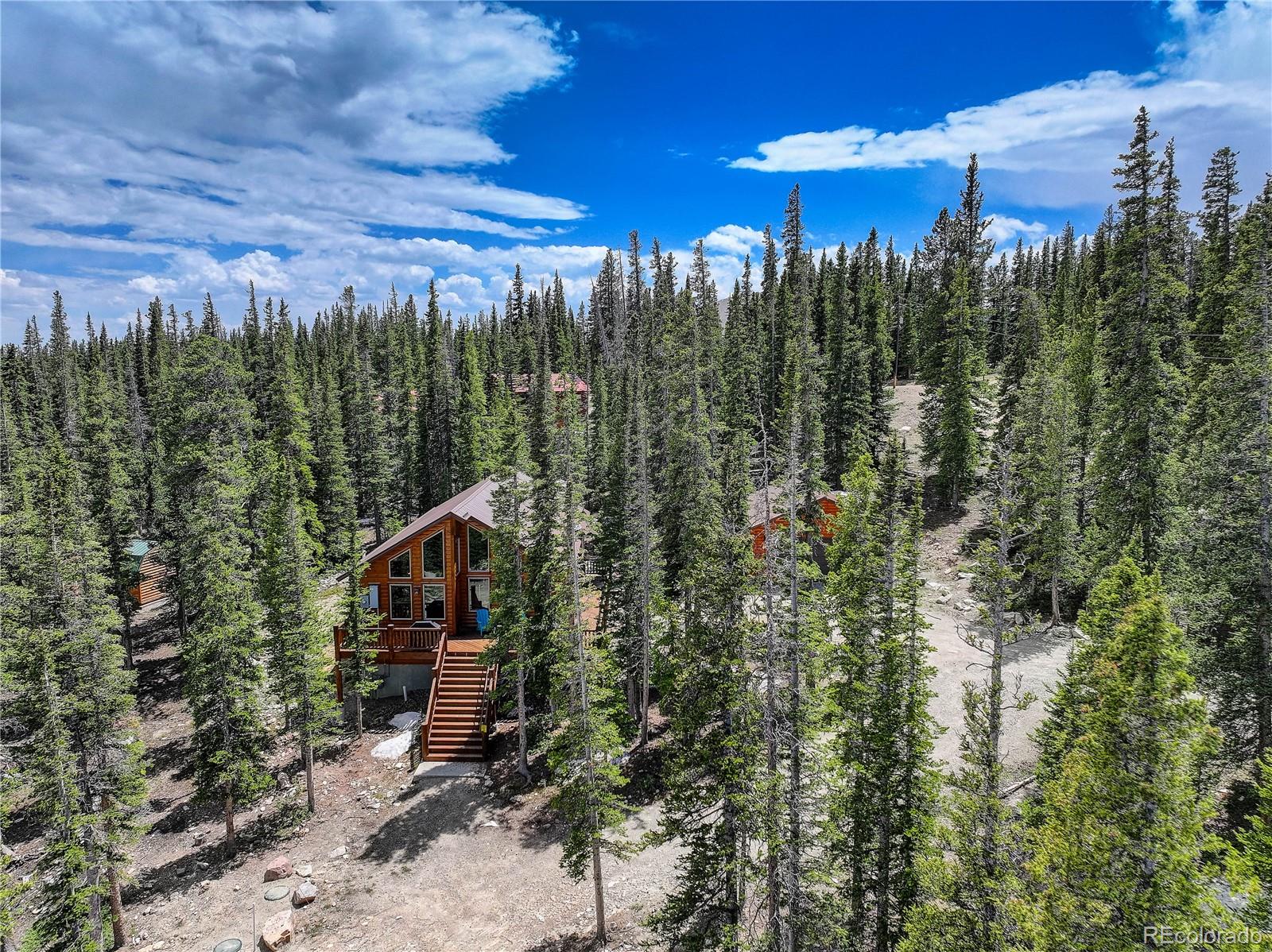 MLS Image #34 for 311  miners way,fairplay, Colorado