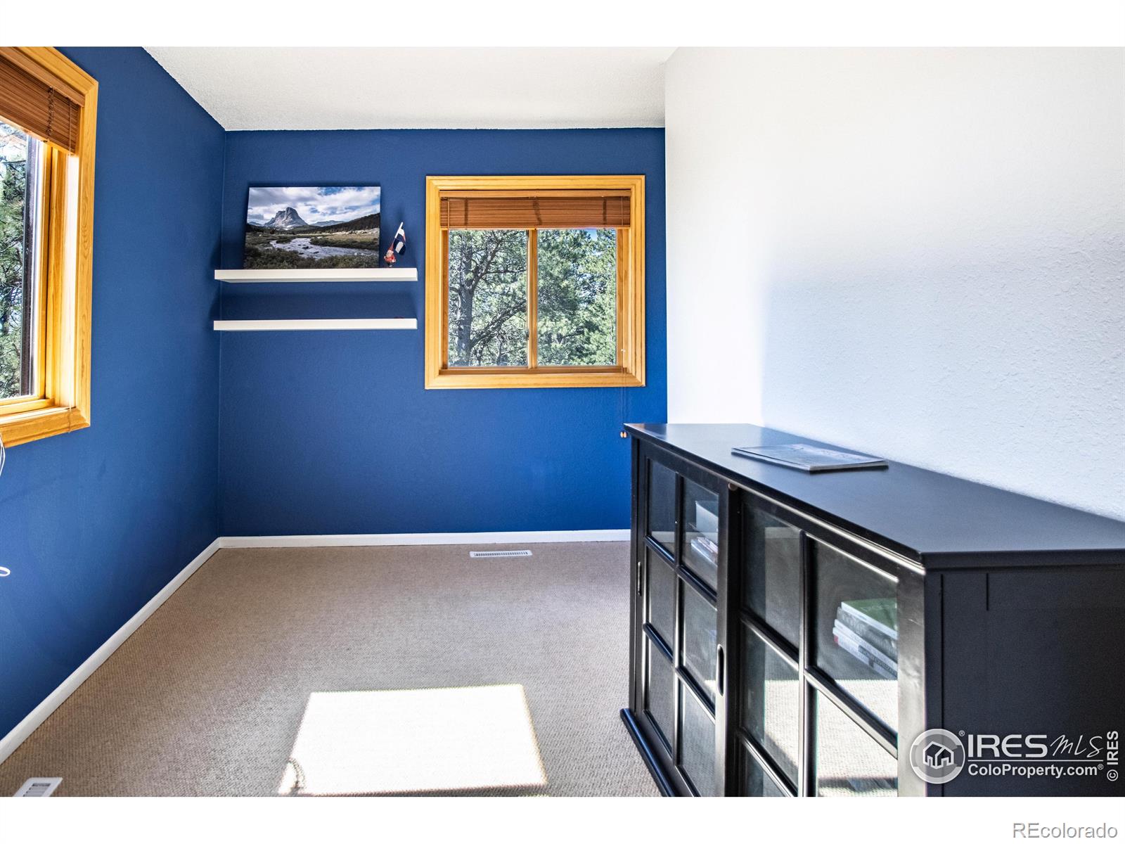 MLS Image #21 for 418  ridge road,ward, Colorado