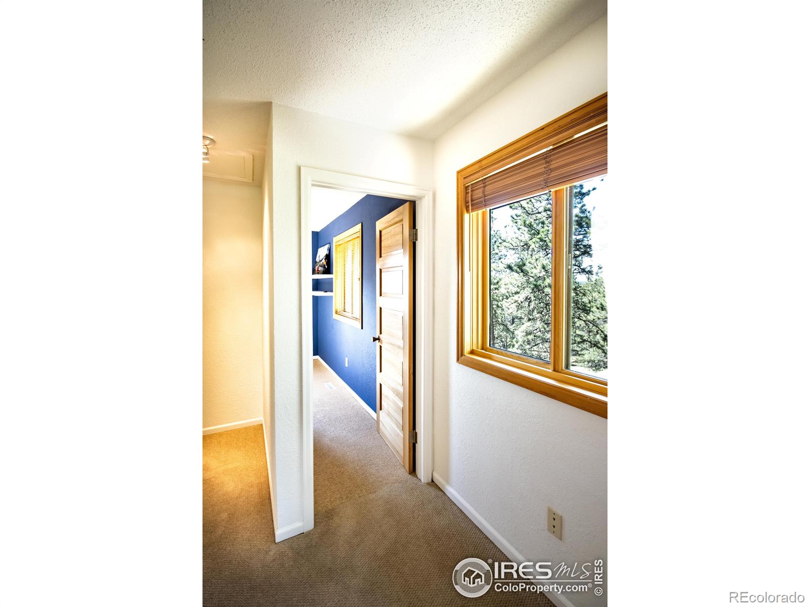 MLS Image #22 for 418  ridge road,ward, Colorado