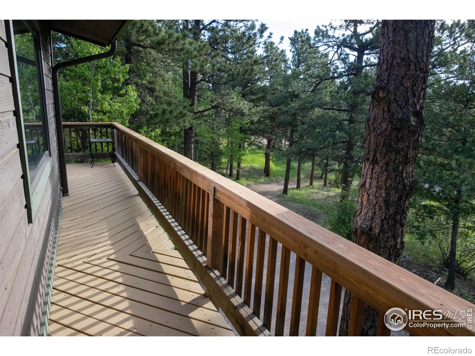 MLS Image #3 for 418  ridge road,ward, Colorado