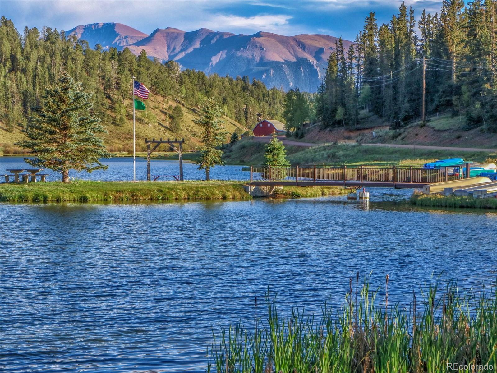 MLS Image #10 for 847  ridge road,divide, Colorado