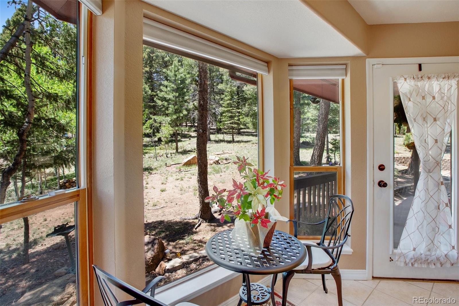 MLS Image #12 for 847  ridge road,divide, Colorado