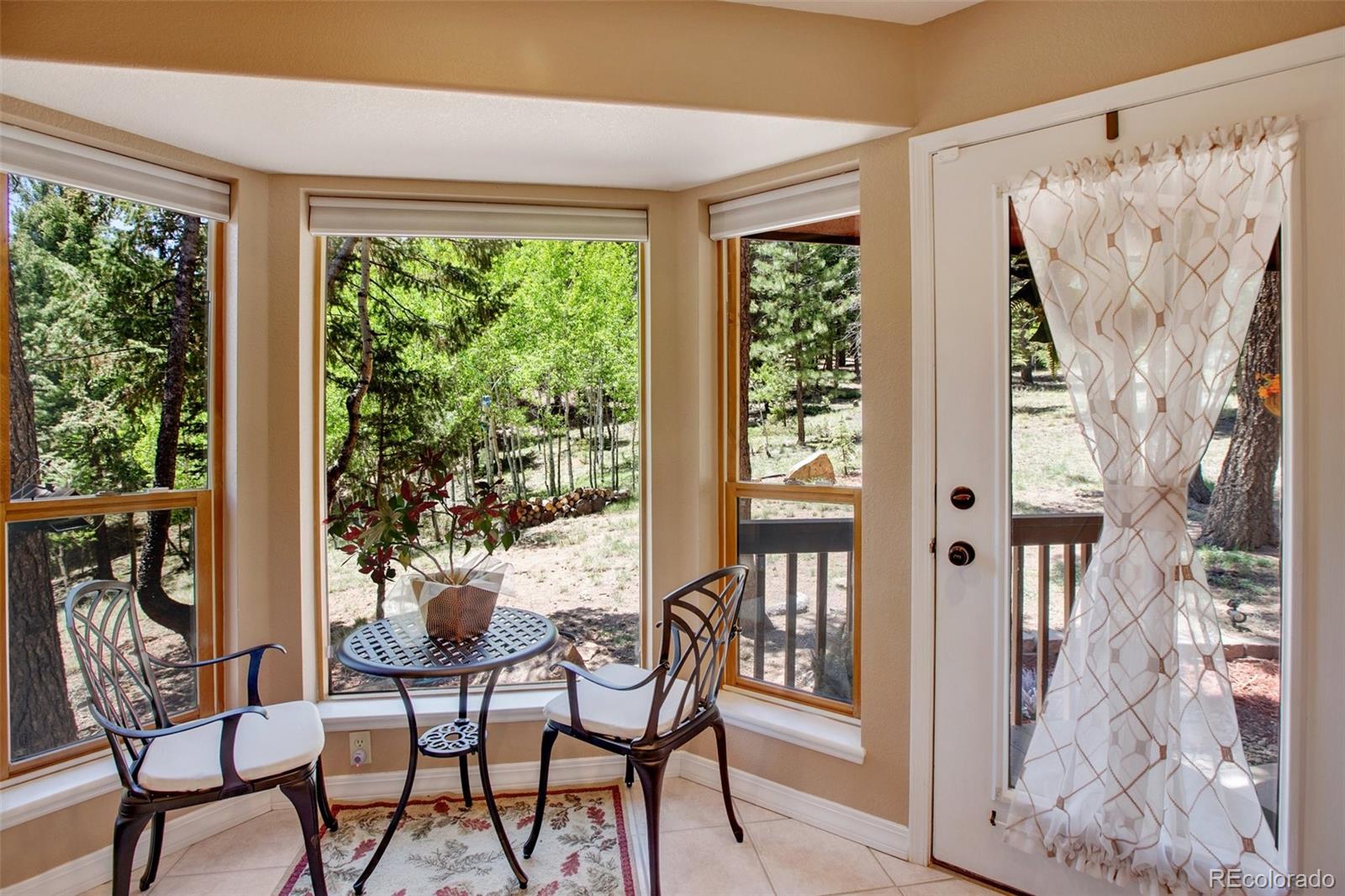 MLS Image #13 for 847  ridge road,divide, Colorado