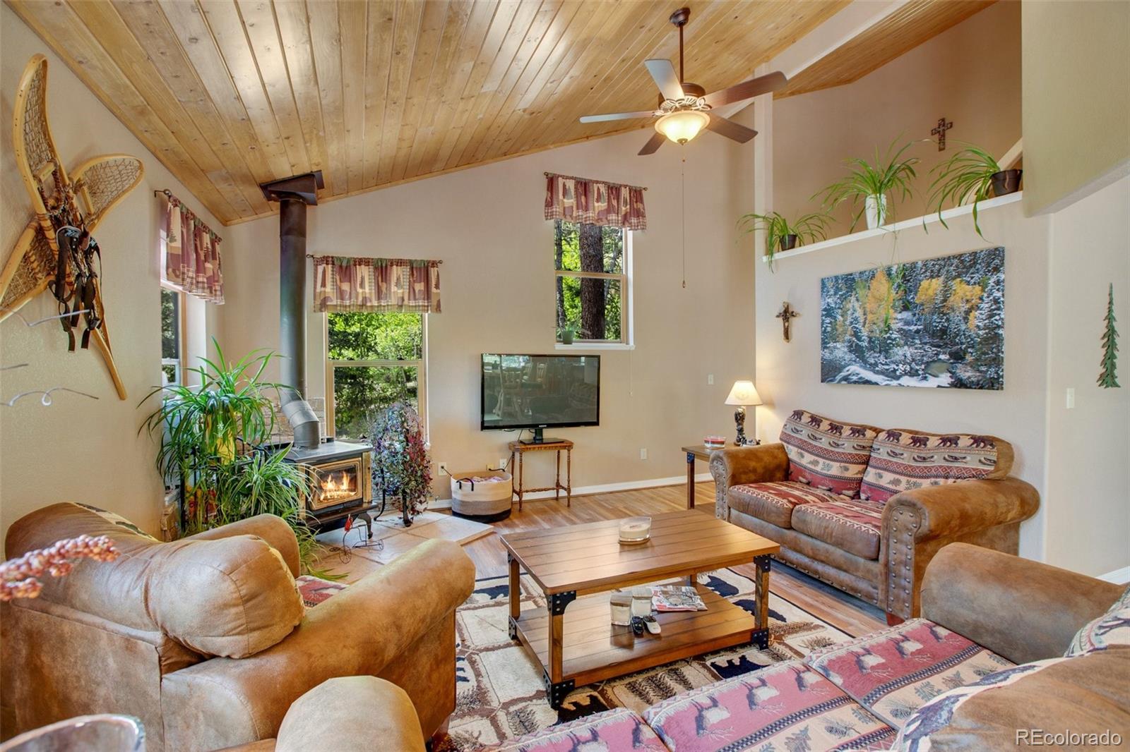 MLS Image #14 for 847  ridge road,divide, Colorado