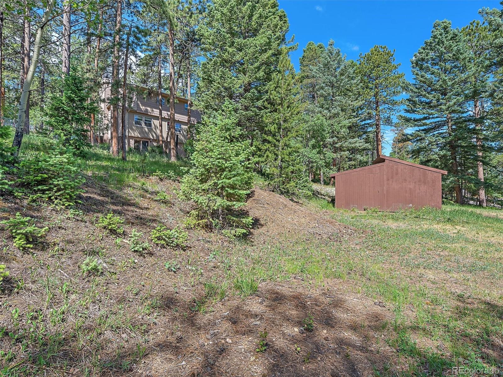 MLS Image #41 for 11052  lindsey road,conifer, Colorado