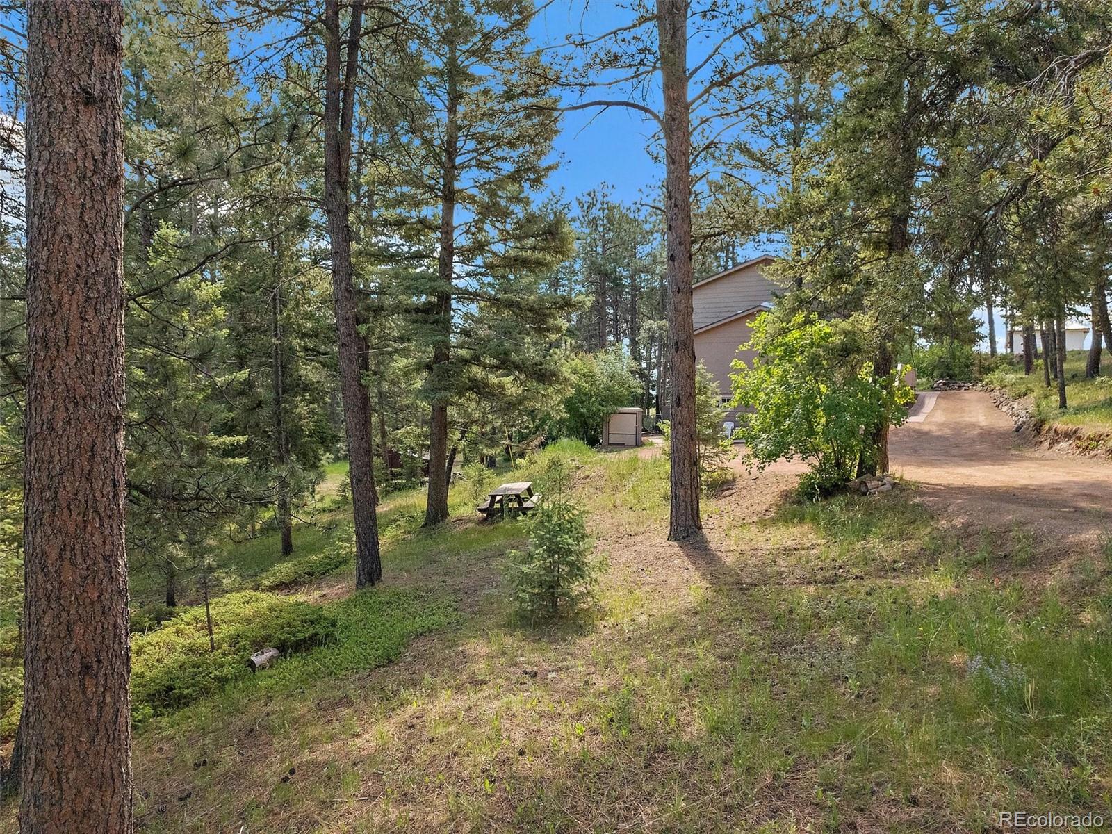 MLS Image #43 for 11052  lindsey road,conifer, Colorado