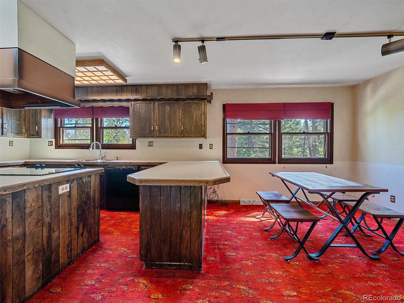 MLS Image #9 for 11052  lindsey road,conifer, Colorado