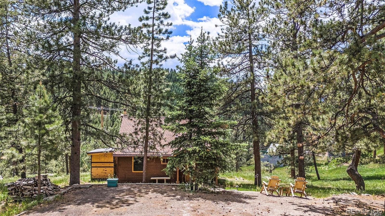 MLS Image #14 for 27893  pine drive,evergreen, Colorado