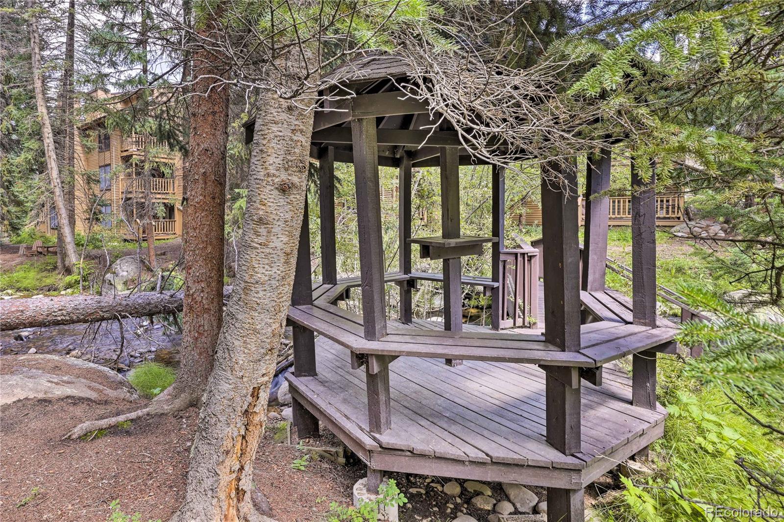 MLS Image #24 for 145  arapahoe road,winter park, Colorado