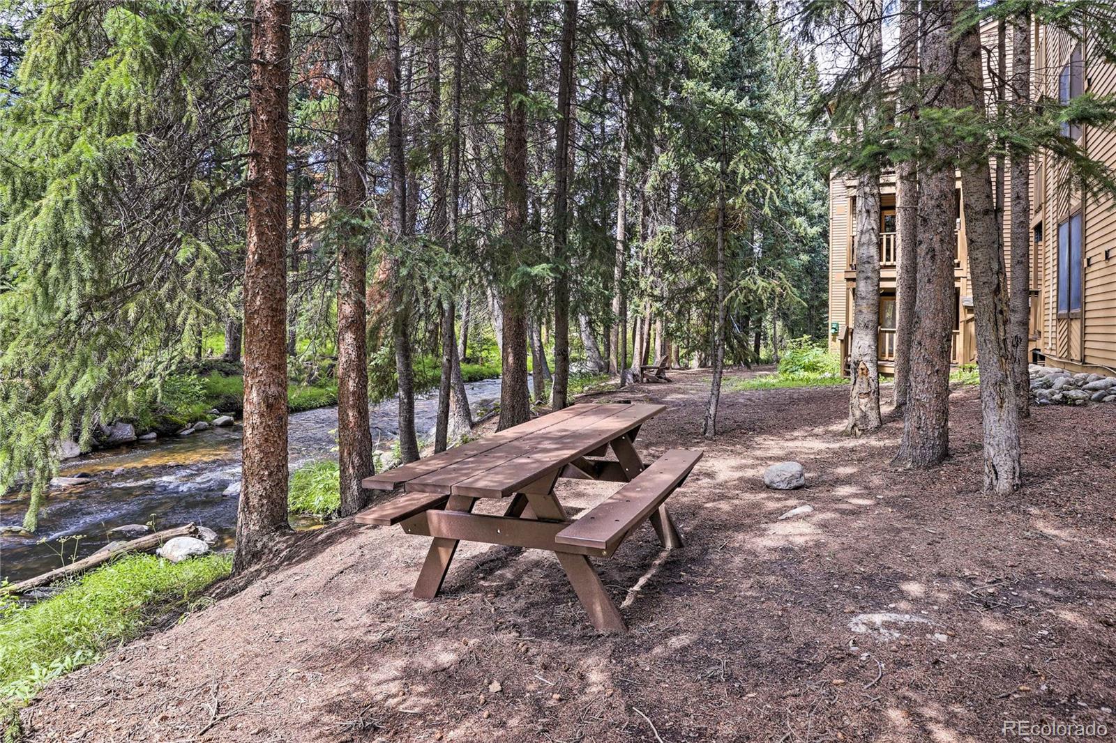 MLS Image #25 for 145  arapahoe road,winter park, Colorado