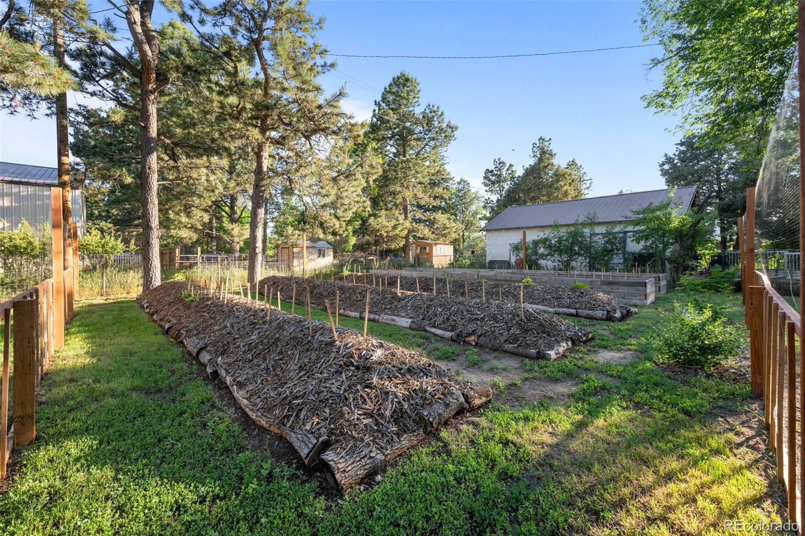 MLS Image #38 for 422  comanche street,kiowa, Colorado