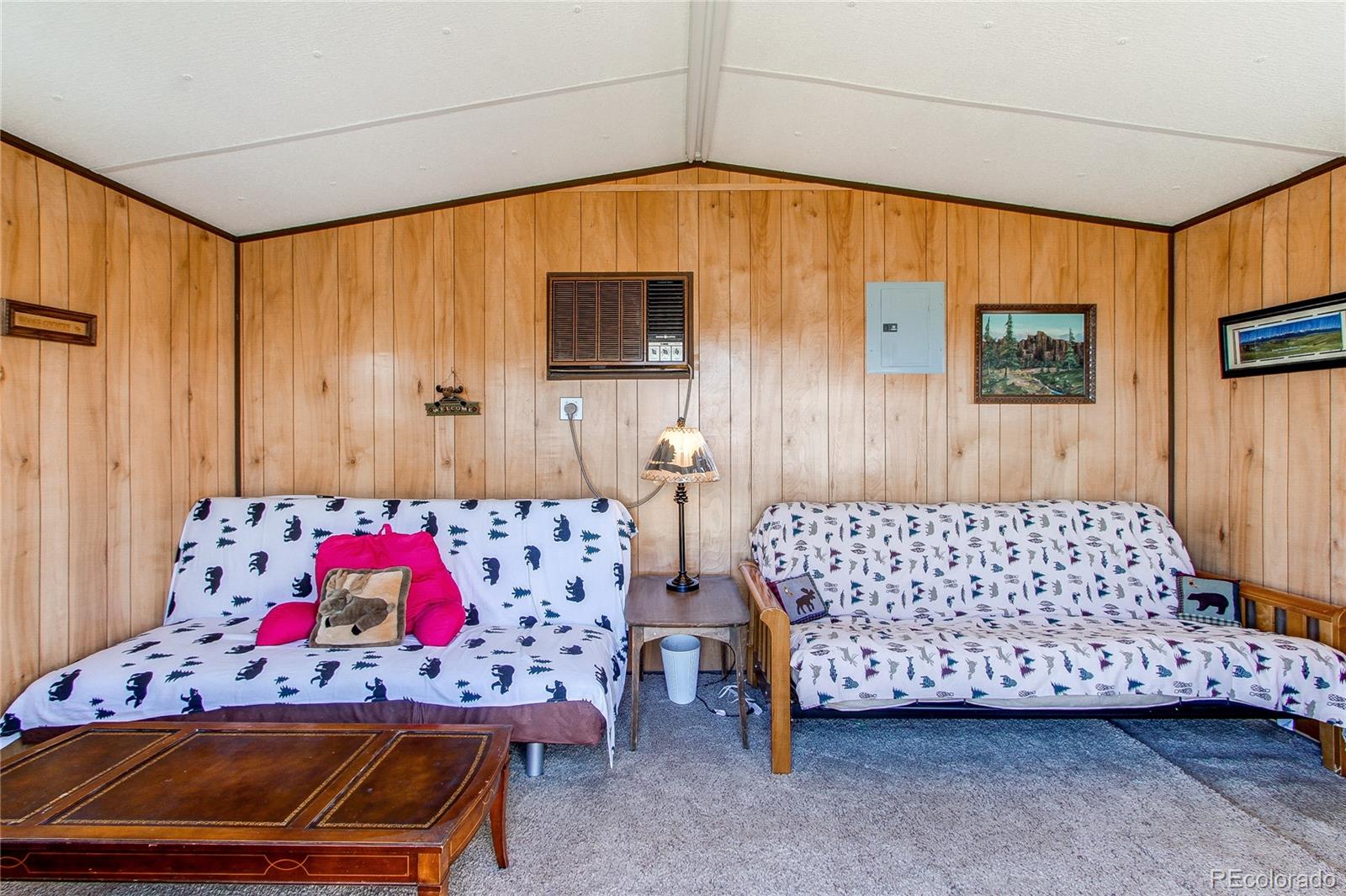 MLS Image #21 for 418  cliff street,westcliffe, Colorado