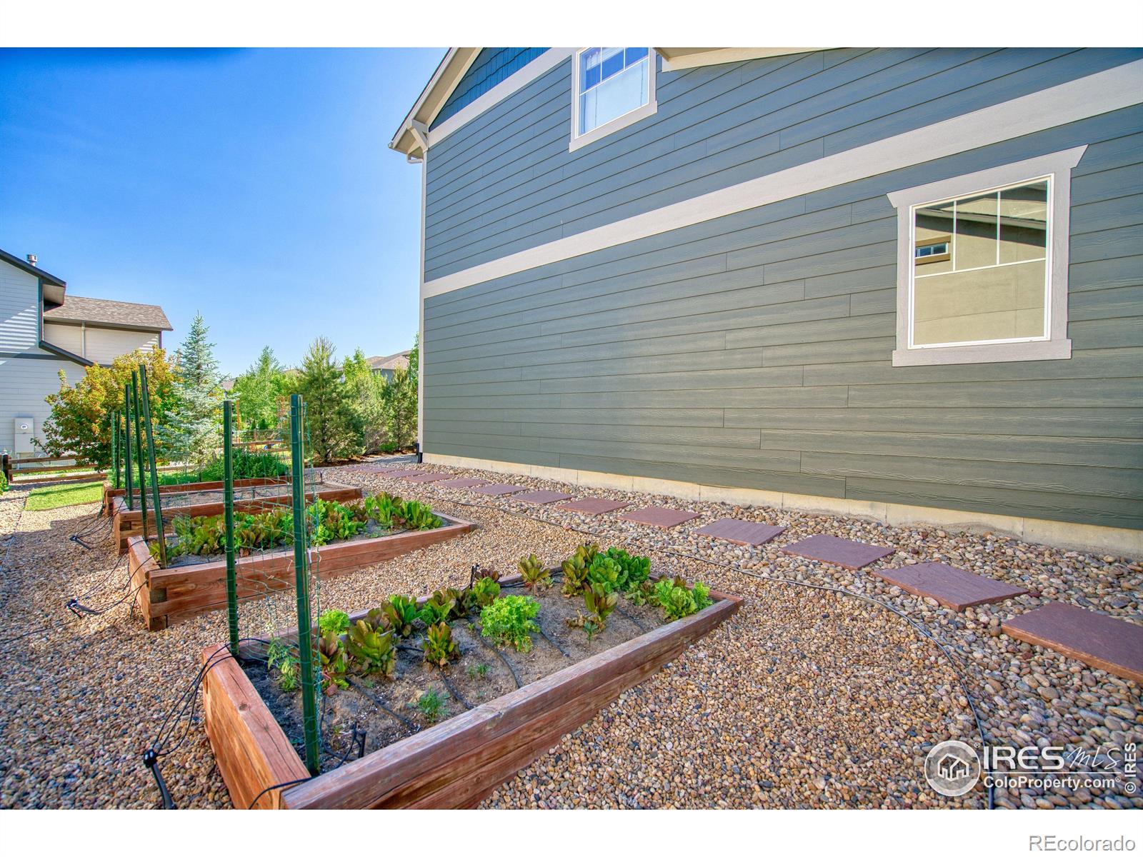 MLS Image #5 for 972  laramie lane,erie, Colorado