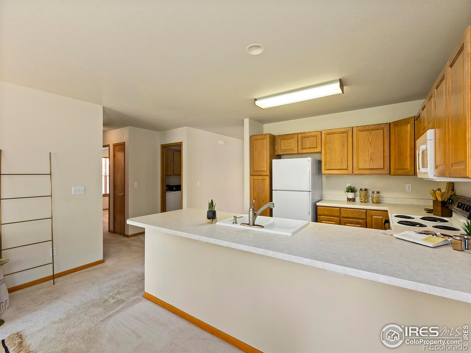 MLS Image #11 for 2407  waverly drive,loveland, Colorado