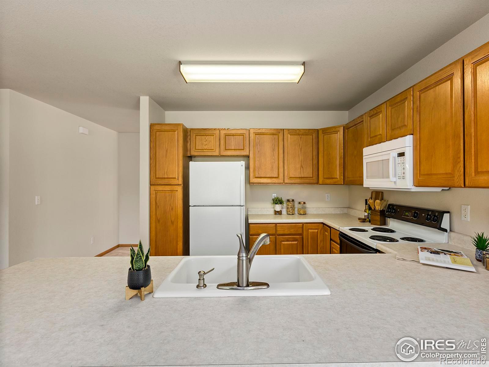 MLS Image #12 for 2407  waverly drive,loveland, Colorado