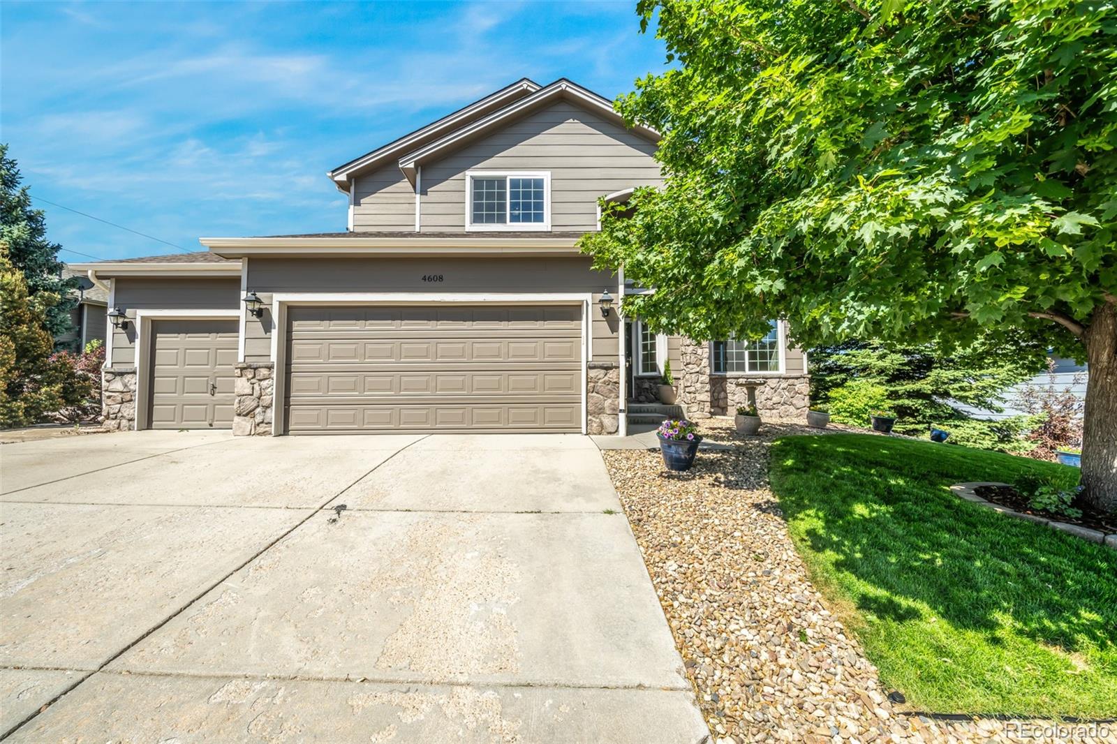 MLS Image #41 for 4608  asbury drive,castle rock, Colorado