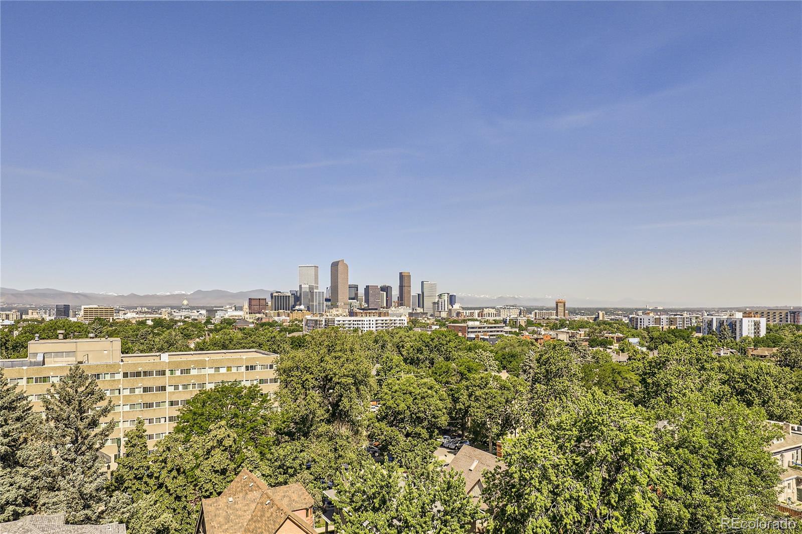 MLS Image #15 for 1313 n williams street,denver, Colorado