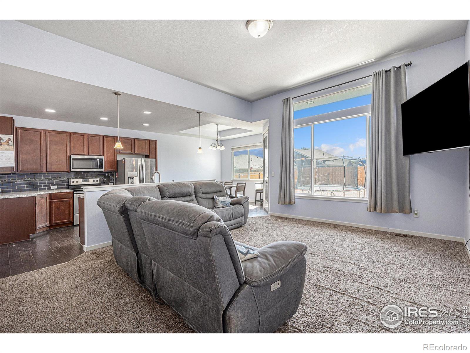 MLS Image #9 for 1110  osprey way,wiggins, Colorado