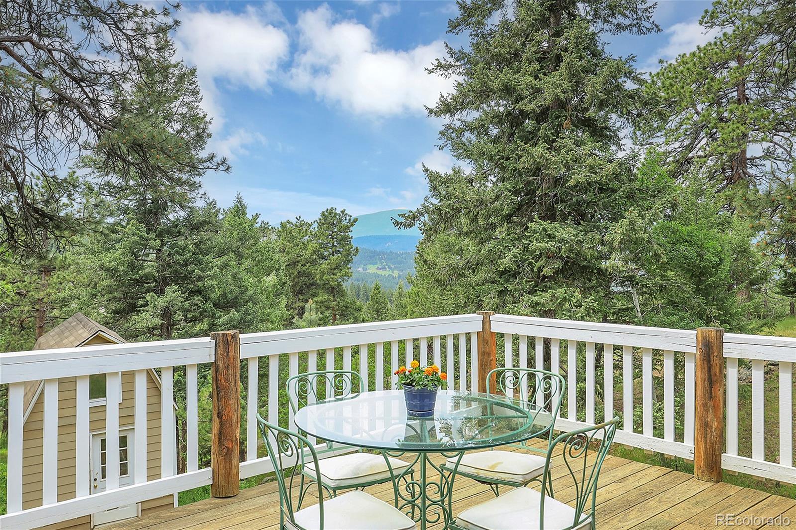 MLS Image #36 for 26049  edelweiss circle,evergreen, Colorado