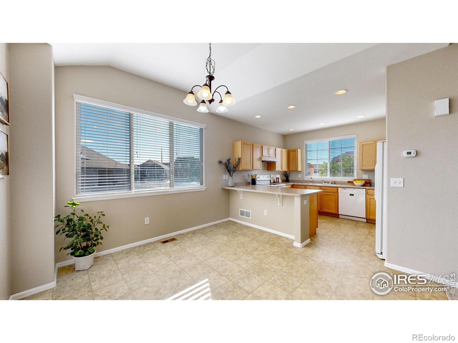 Report Image for 1012  Cherrybrook Drive,Windsor, Colorado