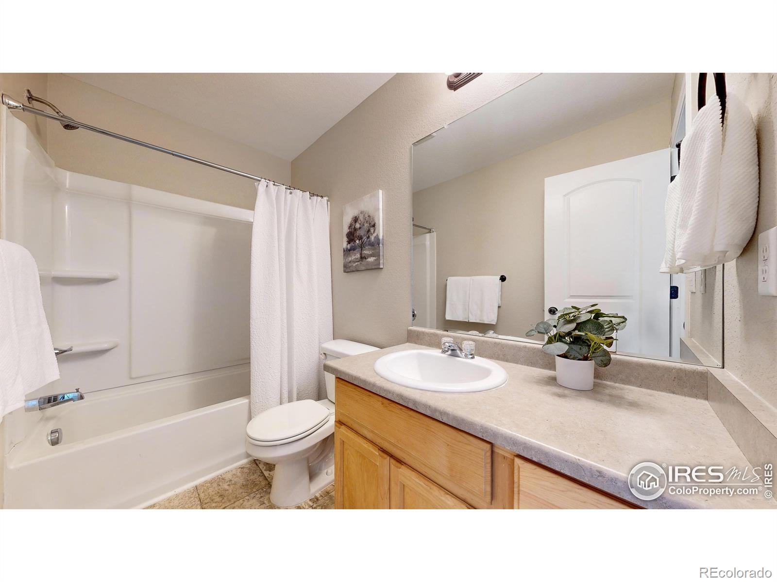 MLS Image #13 for 1012  cherrybrook drive,windsor, Colorado