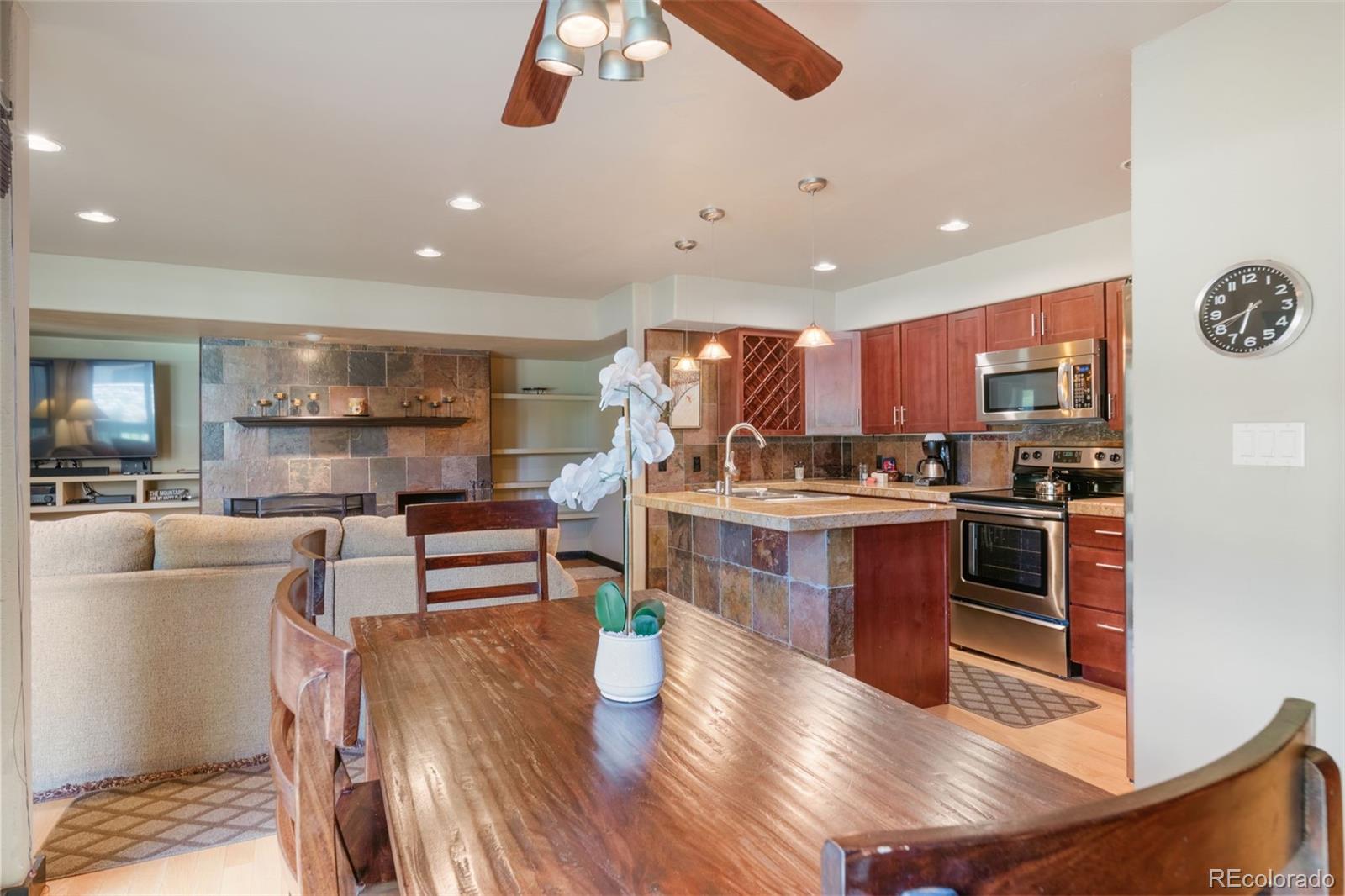 MLS Image #2 for 373  wild irishman road,dillon, Colorado