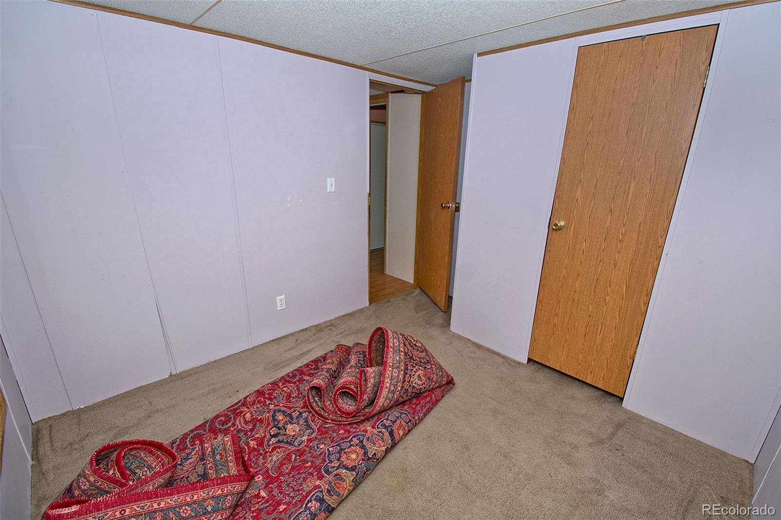 MLS Image #28 for 318  palisade court,crestone, Colorado