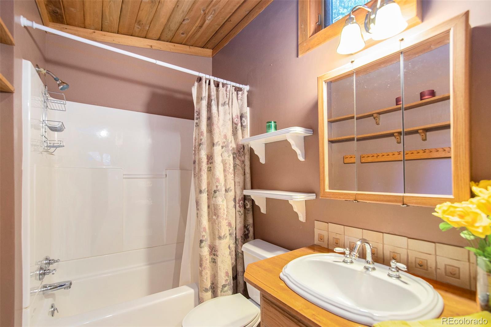 MLS Image #14 for 27  spruce lane,idaho springs, Colorado